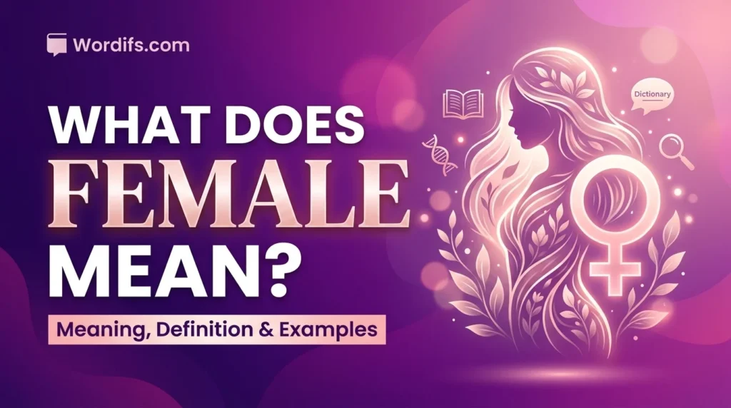 What Does Female Mean?
