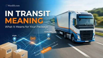 In Transit Meaning
