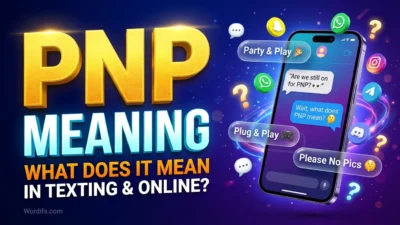 PNP Meaning