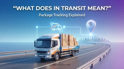 What Does In Transit Mean